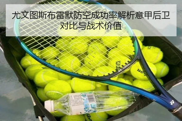 尤文图斯布雷默防空成功率解析意甲后卫对比与战术价值